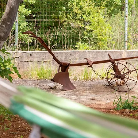 Prázdninový dům 5 Bedroom Cozy In *